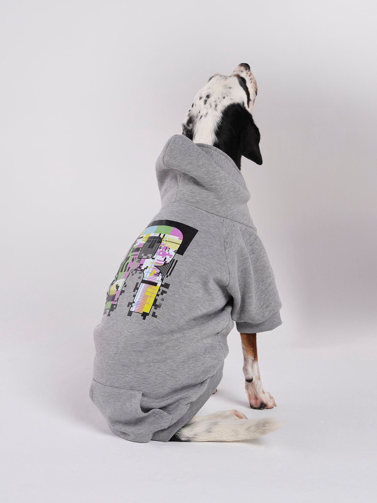 Poppy Köpek Hoodie